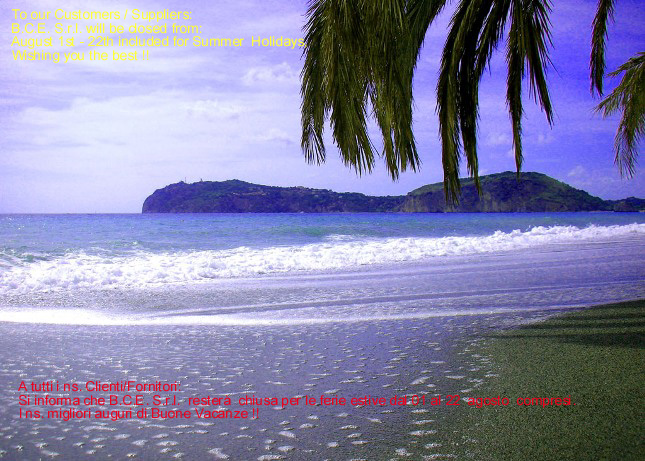 http://www.bce.it/cms_rc/cms_rc/uploads/BCE-Buone_Vacanze_2010.jpg